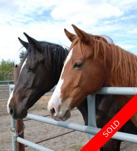 Southlands House and Acreage for sale: 4 bedroom 2,740 sq.ft. (Listed 2009-06-16)